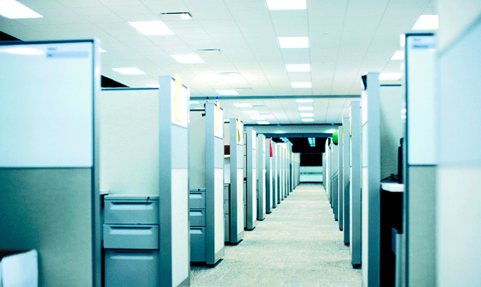 Natural Light in the Office Improves Employee’s Health