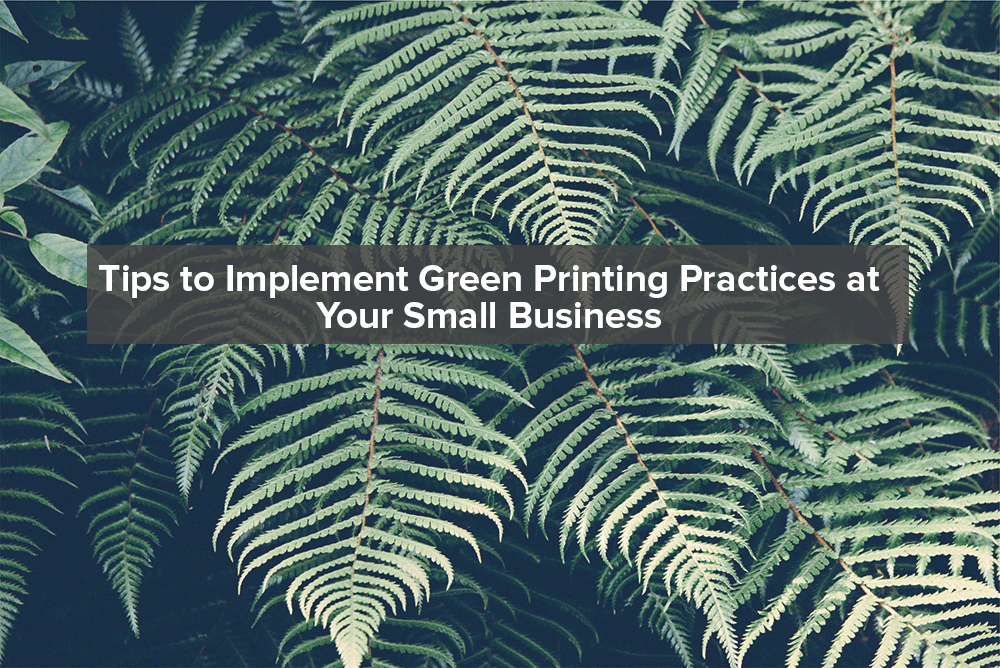 Tips to Implement Green Printing Practices in Your Small Business