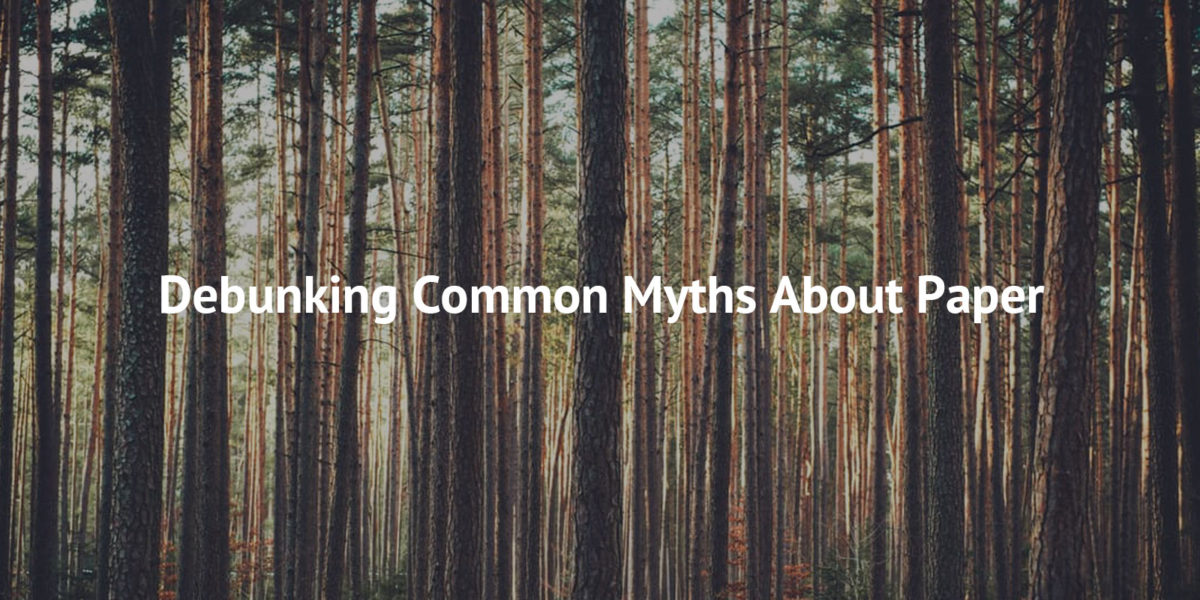 debunking paper myths